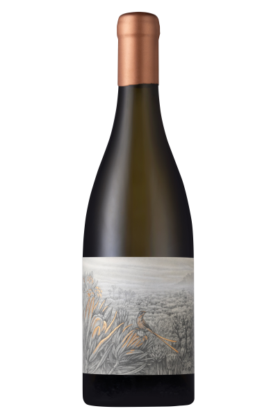 Nitida Coronata Integration